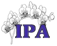 the International Phalaenopsis Alliance